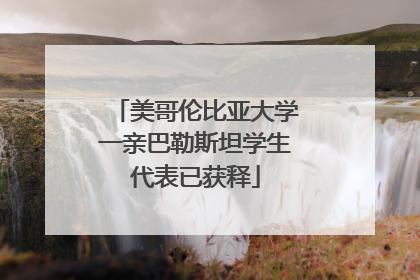 美哥伦比亚大学一亲巴勒斯坦学生代表已获释