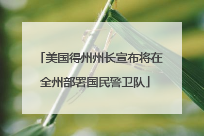 美国得州州长宣布将在全州部署国民警卫队