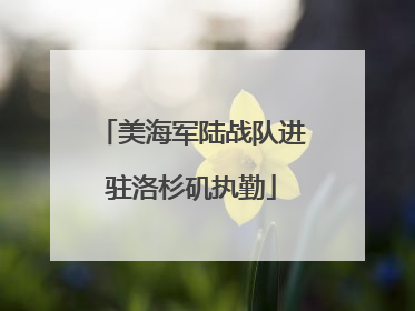 美海军陆战队进驻洛杉矶执勤