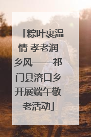 粽叶裹温情 孝老润乡风——祁门县溶口乡开展端午敬老活动