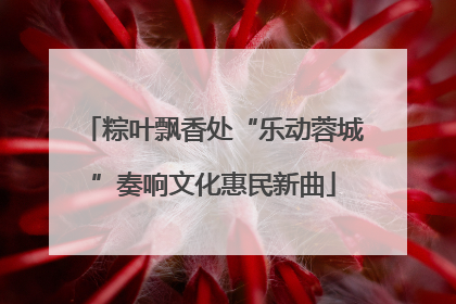 粽叶飘香处“乐动蓉城”奏响文化惠民新曲
