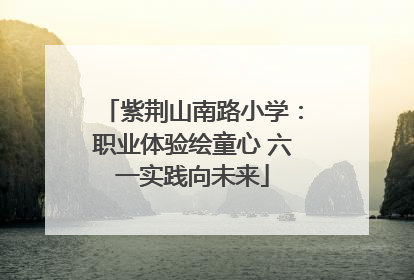 紫荆山南路小学：职业体验绘童心 六一实践向未来