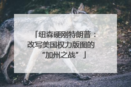 纽森硬刚特朗普：改写美国权力版图的 “加州之战”