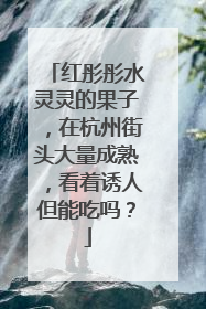 红彤彤水灵灵的果子，在杭州街头大量成熟，看着诱人但能吃吗？