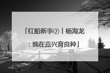红船新事⑦丨杨海龙：我在嘉兴育良种