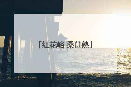 红花峪 桑葚熟