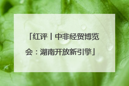红评丨中非经贸博览会：湖南开放新引擎
