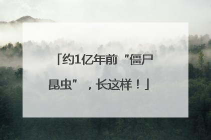 约1亿年前“僵尸昆虫”，长这样！