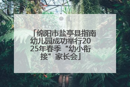 绵阳市盐亭县指南幼儿园成功举行2025年春季“幼小衔接”家长会