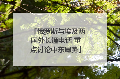 俄罗斯与埃及两国外长通电话 重点讨论中东局势