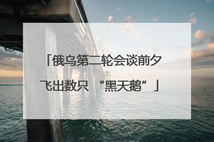 俄乌第二轮会谈前夕 飞出数只 “黑天鹅”