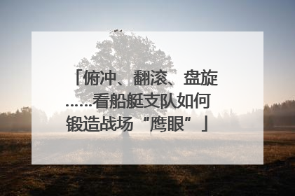 俯冲、翻滚、盘旋……看船艇支队如何锻造战场“鹰眼”