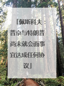 佩斯科夫：普京与特朗普尚未就会面事宜达成任何协议