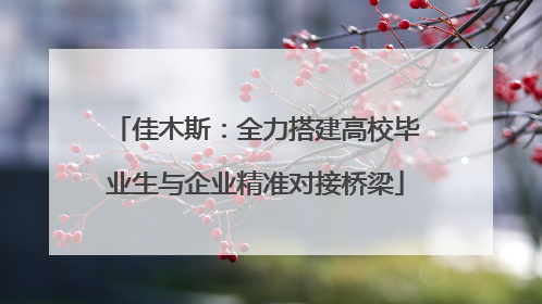 佳木斯：全力搭建高校毕业生与企业精准对接桥梁