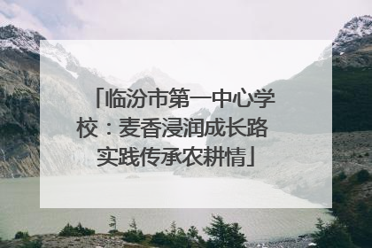 临汾市第一中心学校：麦香浸润成长路 实践传承农耕情