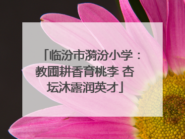 临汾市漪汾小学：教圃耕香育桃李 杏坛沐露润英才