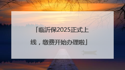临沂保2025正式上线，缴费开始办理啦