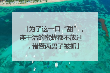 为了这一口“甜”，连干活的蜜蜂都不放过，诸暨两男子被抓