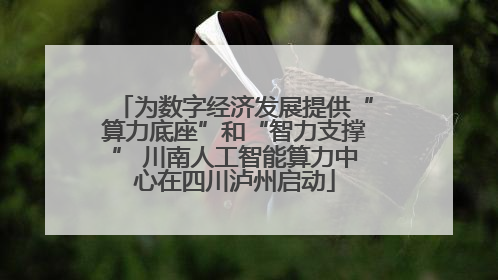 为数字经济发展提供“算力底座”和“智力支撑” 川南人工智能算力中心在四川泸州启动