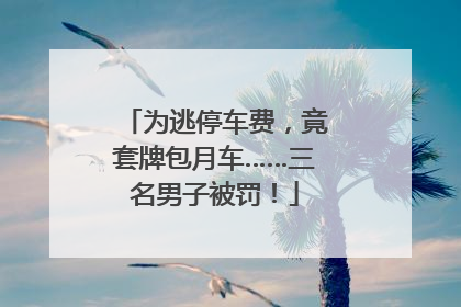 为逃停车费，竟套牌包月车……三名男子被罚！