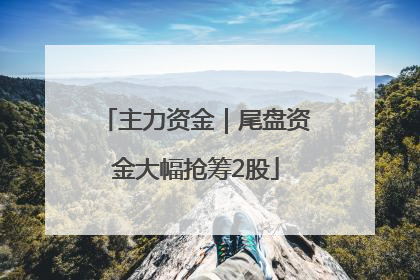 主力资金｜尾盘资金大幅抢筹2股