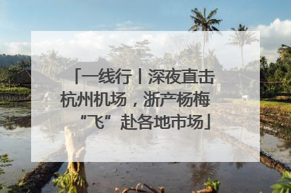 一线行丨深夜直击杭州机场，浙产杨梅“飞”赴各地市场