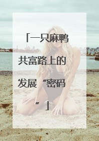 一只麻鸭共富路上的发展“密码”