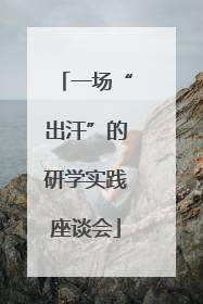 一场“出汗”的研学实践座谈会