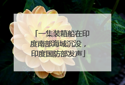 一集装箱船在印度南部海域沉没，印度国防部发声