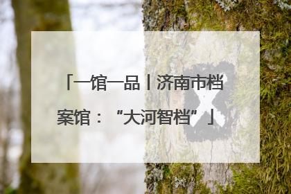 一馆一品丨济南市档案馆：“大河智档”