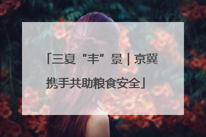 三夏“丰”景｜京冀携手共助粮食安全