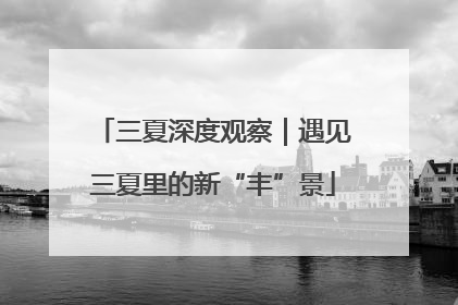 三夏深度观察｜遇见三夏里的新“丰”景
