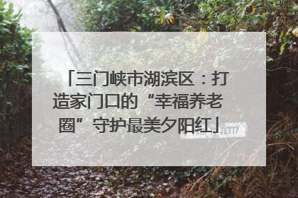 三门峡市湖滨区：打造家门口的“幸福养老圈”守护最美夕阳红