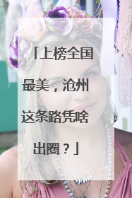 上榜全国最美，沧州这条路凭啥出圈？
