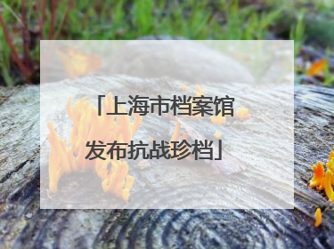 上海市档案馆发布抗战珍档