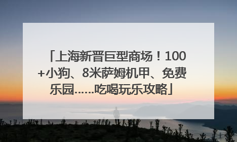 上海新晋巨型商场！100+小狗、8米萨姆机甲、免费乐园……吃喝玩乐攻略