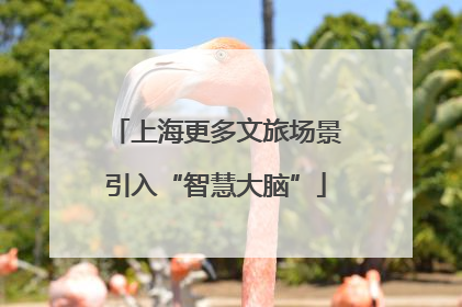 上海更多文旅场景引入“智慧大脑”