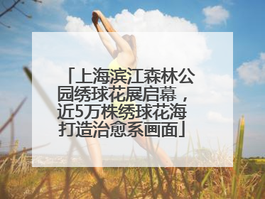 上海滨江森林公园绣球花展启幕，近5万株绣球花海打造治愈系画面