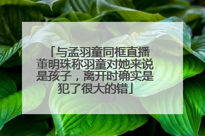 与孟羽童同框直播 董明珠称羽童对她来说是孩子，离开时确实是犯了很大的错
