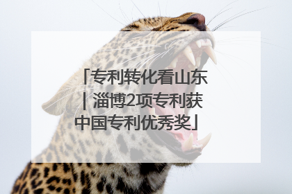 专利转化看山东｜淄博2项专利获中国专利优秀奖