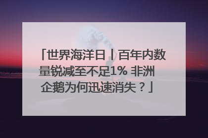 世界海洋日丨百年内数量锐减至不足1% 非洲企鹅为何迅速消失？