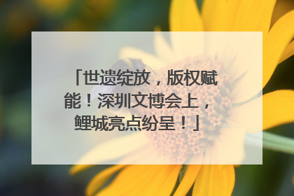 世遗绽放，版权赋能！深圳文博会上，鲤城亮点纷呈！