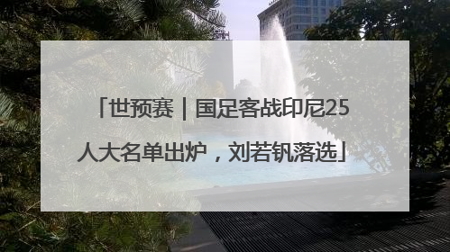 世预赛｜国足客战印尼25人大名单出炉，刘若钒落选