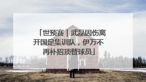 世预赛｜武磊因伤离开国足集训队，伊万不再补招顶替球员