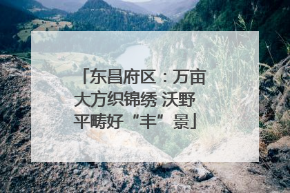 东昌府区：万亩大方织锦绣 沃野平畴好“丰”景