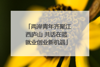 两岸青年齐聚江西庐山 共话在赣就业创业新机遇