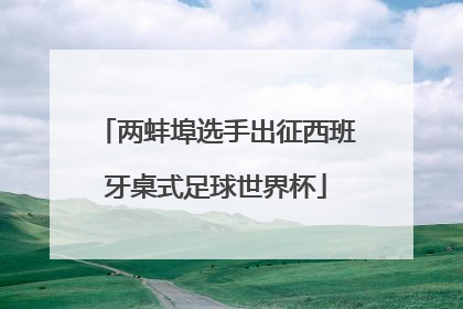 两蚌埠选手出征西班牙桌式足球世界杯