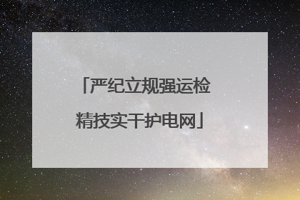 严纪立规强运检 精技实干护电网