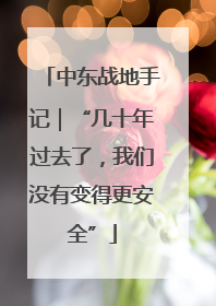 中东战地手记｜“几十年过去了，我们没有变得更安全”