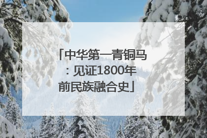 中华第一青铜马：见证1800年前民族融合史